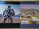 Pink Floyd LP - Delicate Sound Of Thunder + A Momentary Lapse Of Reason