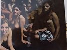 JIMI HENDRIX EXPERIENCE ELECTRIC LADYLAND 2LP POLYDOR 2657012 DELUXE MINT