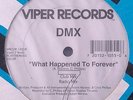 SEALED DMX-What Happened To Forever 12