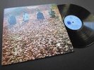 JELLYBREAD - FIRST SLICE / ORIG UK MINT- LP BLUE HORIZON S 7-63853 BLUES ROCK