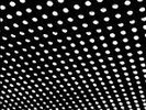 Bloom * by Beach House (Vinyl, May-2012, 2 Discs, Sub Pop (USA))