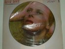 DAVID BOWIE  HUNKY DORY LIMITED EDITION PICTURE DISC LP RCA  UK IMPORT NM