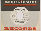 THE IN CROWD “Girl in Black Bikini / Surfer Jerk” MUSICOR promo wlp surf 45 HEAR