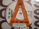 ONE HIT WONDERS  