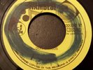 Don Carlos Them Say Killer Roots 7