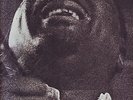 Albert King/Otis Rush - Door To Door