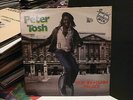 PETER TOSH Buk in ham palace MAXI 12