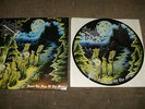 Cruel Force - Under the sign of the Moon PICTURE DISC LIM 200  RARE 