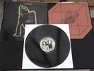 T.REX ELECTRIC WARRIOR 12