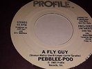 PEBBLEE-POO  a fly guy   rap hip hop 45  