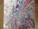 FLAMING LIPS - The Time Has Come--Stone Roses Cover Album. Limited 500.