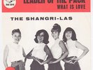 SHANGRI-LAS Leader Of The Pack RARE Sweden 45 UNIQUE swedish p/s girl group HEAR