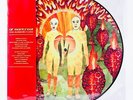 Of Montreal the Sunlandic Twins Picture Disc Numbered LP Vinyl Sold Out NEW