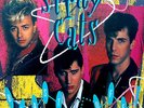 STRAY CATS ‘Blast Off’-LP-1989 EMI Records Australian issue - USA 791401