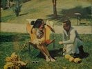 Listen/Mirtha Y Raul/Orq Cubana De Musica Moderna/Pacho Alonso/Los Van Van