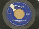FIREFLYS STUBBORN FELLOW ORLYN orig US GARAGE ROCK FRAT BEAT SURF 7