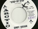 Cindy Gibson 45 