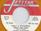 BOBBY PATTERSON - WHAT A WONDERFUL NIGHT FOR LOVE - T.C.B. OR T.Y.A.