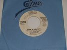 KIM LARSEN AND JUNGLEDREAMS Rock N Roll City / same 45 Epic 14-02827 NM PROMO