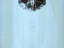 A TRIBUTE TO JOY DIVISION - AA.VV. - LP - Afterhours Allison Run...