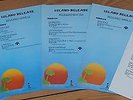 5 original UK 1977 ISLAND & STIFF promo flyers Damned Costello Ultravox PUNK +