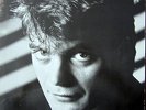 LP / HANSI DUJMIC / WOLFGANG AMBROS / RARITÄT /