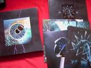 Pink Floyd: Pulse - 4-LP-Box - mint - neuwertig - ungespielt