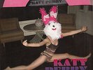 katy perry ur so gay 7