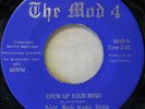 GARAGE THE MOD 4 OPEN UP YOUR MIND GIRL GROUP FUZZ GARAGE FREDLO 6833 RARE ORIG