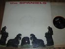 The Spaniels VeeJay VJLP 1024 original doo wop mono lp