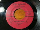 45 RPM l ROCKABILLY/BOPPER : Ray Beach & the Driftwoods
