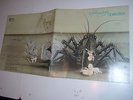 Birth Control - Operation - alt --Vinyl /Cover:excellent