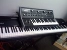 Moog Little Fatty Analog Synthesizer