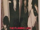 THE FLAMING LIPS - IN A PRIEST DRIVEN AMBULANCE 12