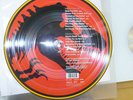 Jurassic Park Picture Disc mit MCA 10897