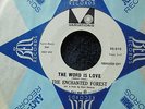 ENCHANTED FOREST-THE WORD IS LOVE,VARIATIONS,DJ WLP,FACTORY SLEEVE,FEMALE PSYCH
