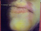P J Harvey Dry Too Pure Pure 10 Near Mint Vinyl Rare 