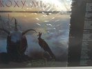 ROXY MUSIC – AVALON – AUTOGRAPHED 12” LP