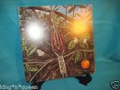 DRAGONFLY 1968 US ORG Monster PSYCH LP Megaphone FUZZ Acid Archives Vinyl NM