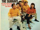 SUNRAYS andrea U.S. TOWER LP T-5017_orig 1966 mono SURF 