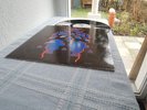 CRESSIDA SAME LP IN 1970 MINT VERTIGO SWIRL TOP RARITY