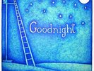 FITZSIMMONS,WILLIAM-GOODNIGHT-VINYL LP (2) HALDERN POP RECORDINGS NEW