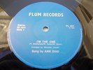 ANN DIAS - I'm The One 12' 1983 RARE SOUL GROOVES  VG Listen