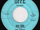 The Circus-Bad Seed/Burn Witch Burn-Texas Garage Classic-1967-OFFE 101-Listen