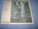 Shirley Collins and the Albion Country Band   No Roses