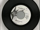 Houston Outlaws Ain't No Telling/Uncle Ed's Backyard WLP 45 RPM Westbound