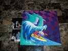 MGMT Rare Authentic Signed Limited Edition Lp Vinyl Record Congratulations Photo