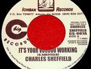 Charles Sheffield 'Voodoo Working' RARE 7