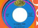 Mod Garage Punk Michigan Frat 45 Tino And The Revlons I'm Coming Home LISTEN