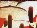 Leatherface ?– Mush LP